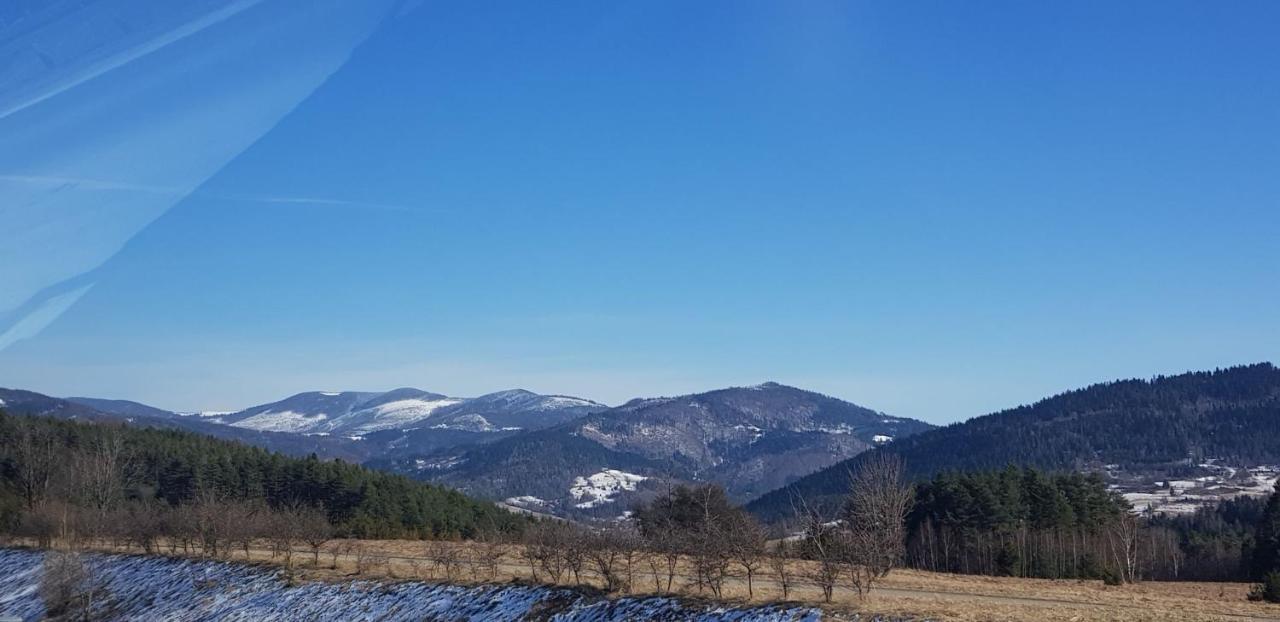 Apartamenty Paszkowka Pietrzykowice  Buitenkant foto